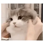 Все