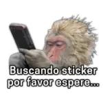 Y EL VIDEO? DONDE ESTA EL VIDEO?