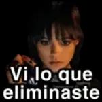 ¿Qué borraste? 