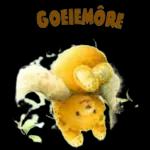 Goeiemôre!
HOOP
JY VOEL
LEKKER
VARS EN
VERFRIS EN
DAT DIE
DAG VIR
JOU NET
MOOI INHOU
