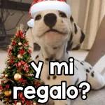 queee！feliz navidad🎄🎁