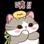 🔥🔥今日熱門貼圖👍速來！⬇️