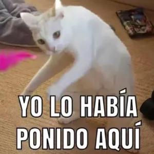 fmJqZZ