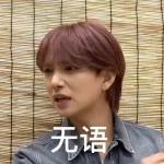 seventeen表情管理2 :: @fStikBot