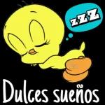 mis cosas