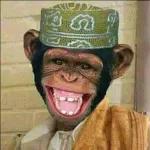 intersting memes🤓