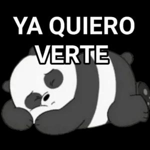 kMwEfV