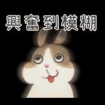 邦妮蓓蓓的日常生活