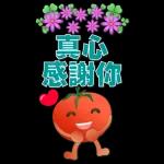 大貼圖 可愛蕃茄 實用語貼