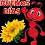 Buenos dias