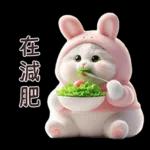 Meow Rabbit