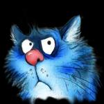 Blue Cats
                            Rina Zenyuk