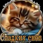 Дмитрий