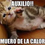 Licencia para criticar