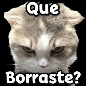 Que Borraste? - getsticker.com