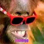 Sengiya ku vuma. I yes you.