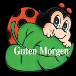 Schöne Guten Morgen❤️