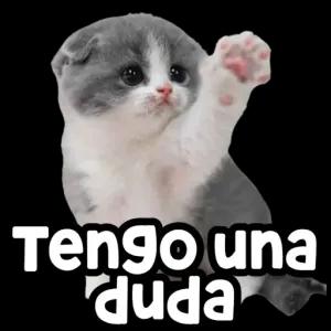 Tengo una duda - getsticker.com