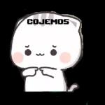COJEMOS