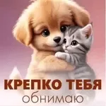 мои стикеры