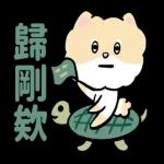 博美狗AB-不正经动起来