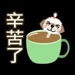 西施迪迪 (日常生活及問候篇)