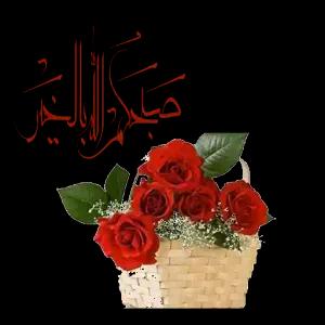 q7taHg