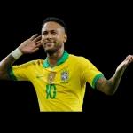 viva brazil