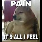 No jokes today, only pain