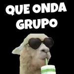buenas noches grupo