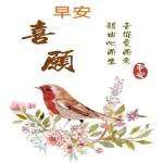 夭壽哦，你這個笨蛋！