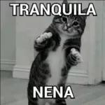 Aaaaaaah Ya entendi (NO entendi)