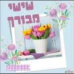 שישי שמח