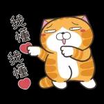 白爛貓58☆名人堂☆