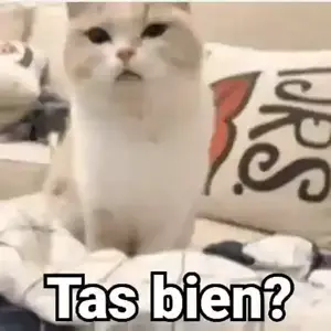 Tas bien? - getsticker.com