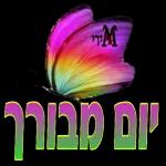 סוכות