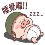 睡覺囉!!
ZZZ...