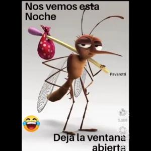 Nos vemos esta Noche Deja la ventana abierta - getsticker.com