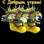 Доброе утро 