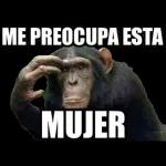 Déjame barrer tu horrible sticker