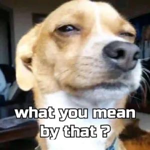what you mean by that ? - getsticker.com
