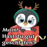 ein knuddler