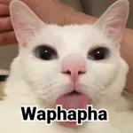 wandile