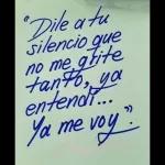 "Dile a tu silencio que no me grite tanto, ya entendí... Ya me voy."