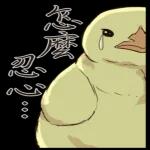 大家晚安
。