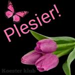 Mag jou drome so mooi wees dat