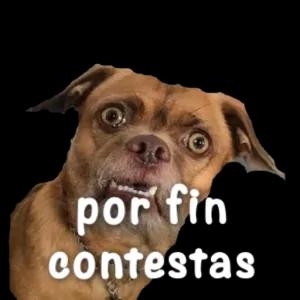 por fin contestas - getsticker.com