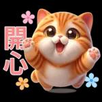 呆萌小橘猫