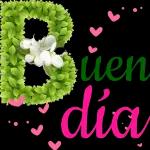 te amo