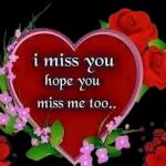 I don't miss you because...😘😘